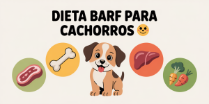 dieta barf cachorros