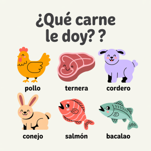 alimento_dieta_barf_perros
