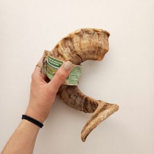 Cuerno de Oveja