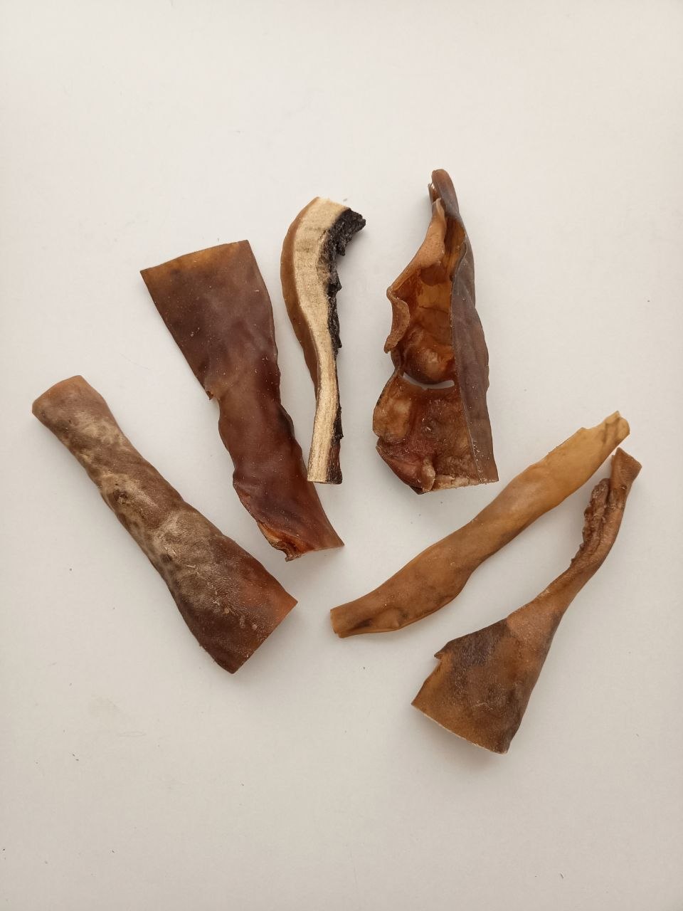 Piel de Camello