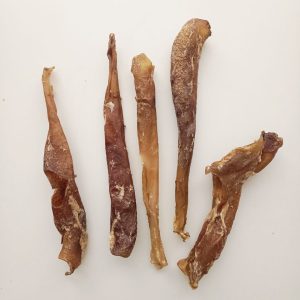 Aorta de Caballo