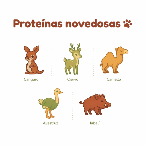 proteinas novedosas