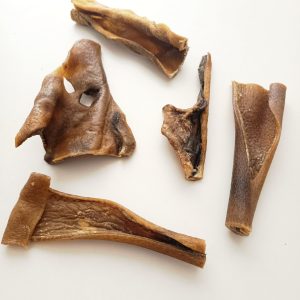 Piel de Jabalí