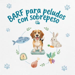 barf para peludos con sobrepeso